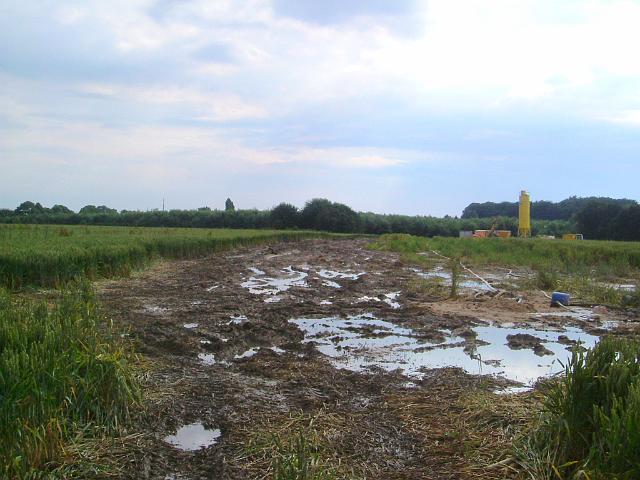 2004_0710_224214 (16).JPG - Südl. des Altbestandes Richtung Süd/West - durch Befahren geringe Versickerung